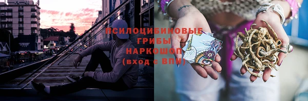 таблы Козловка