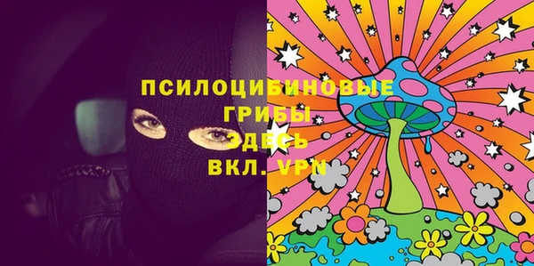 таблы Козловка