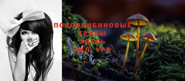 таблы Козловка