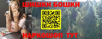 мдпв Гатчина