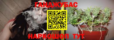 дурь Гай