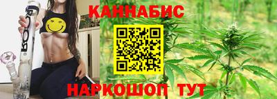мдпв Гатчина