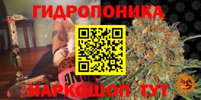 дурь Гай