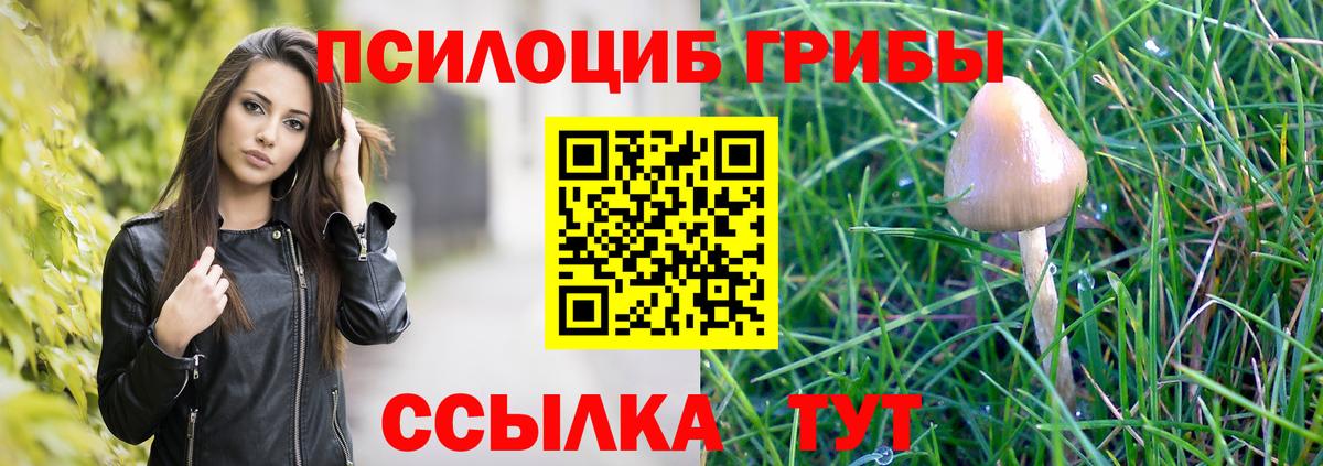 Галлюциногенные грибы ЛСД  Псилоцибиновые грибы мицелий  Вход с VPN  цена наркотик  Калуга 